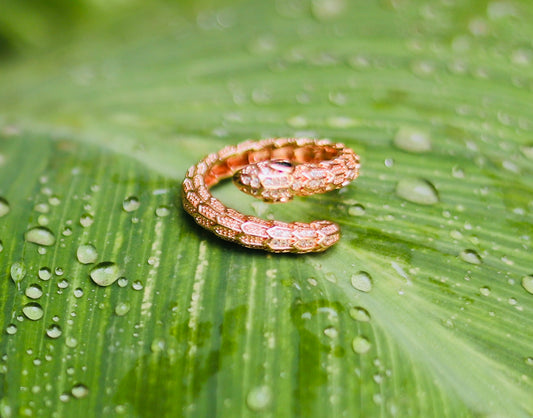 Serpent Luxe: The Whisper of Power